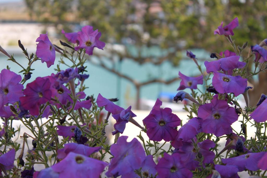 אלאקאטי Port Villa Deniz מראה חיצוני תמונה